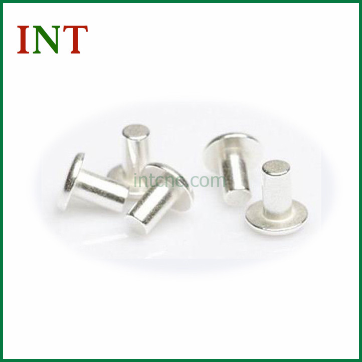 Silver rivets